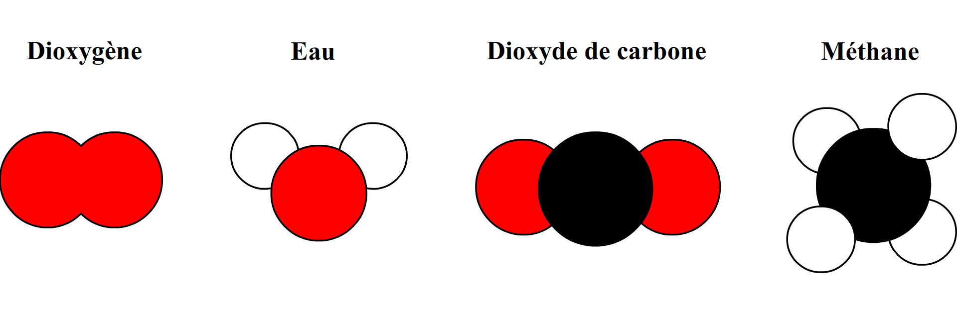 Les Molecules Cours